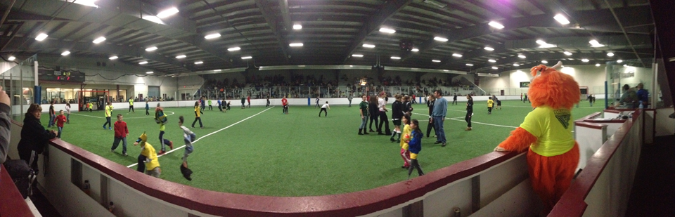arena soccer field 3